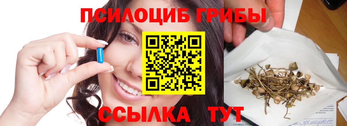 Новочеркасск  Псилоцибиновые грибы MAGIC MUSHROOMS  Псилоцибиновые грибы Psilocybe  Вход с VPN 